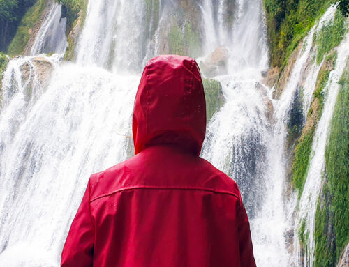 Recovering from Narcissistic Abuse: Reclaiming Your Identity with Professional Guidance for Recovery