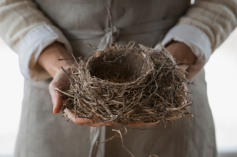 Stephens Therapy Associates - Empty Nest Syndrome and the Shadow of Narcissistic Upbringing