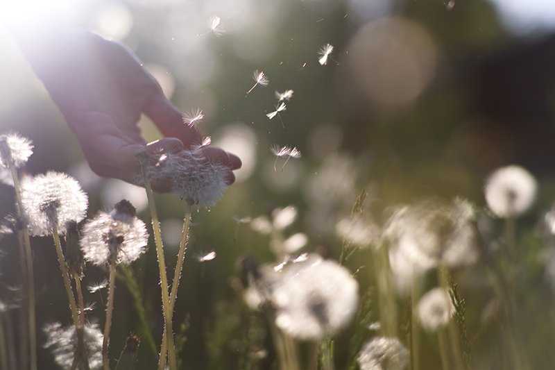 Stephens Therapy Associates-Finding Freedom-The Art of Letting Go of Toxic Relationships